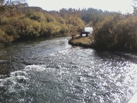 spring creek