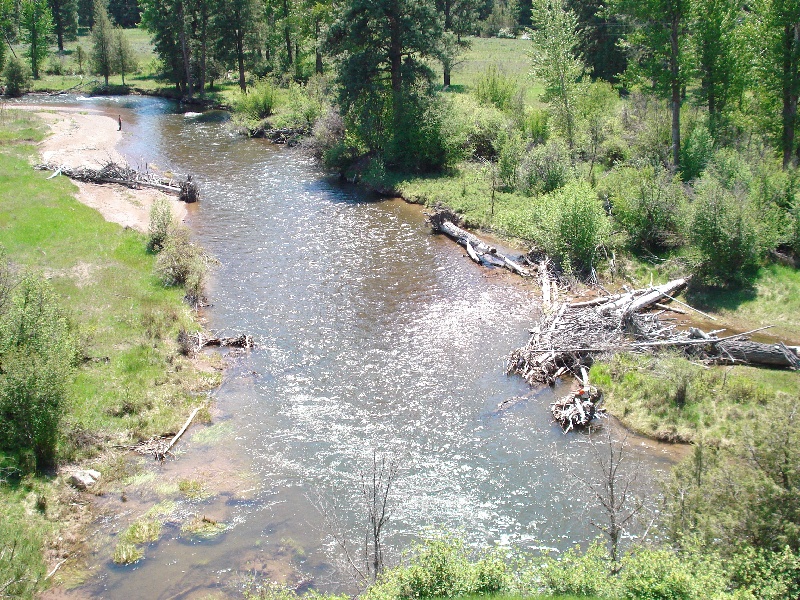 Fred Fishing Monture Creek