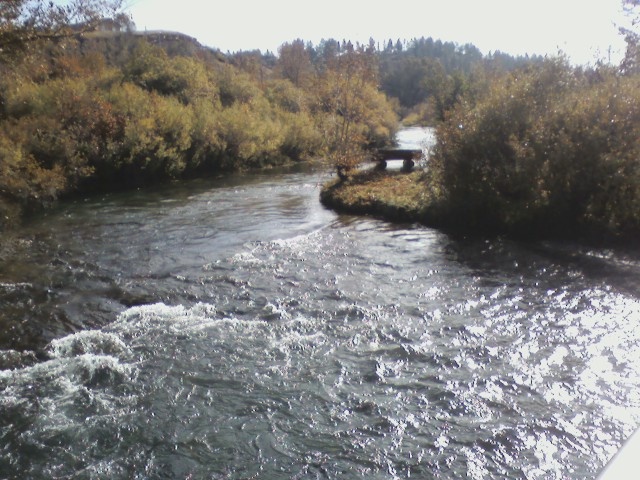 Lewistown Heights fishing photo 3