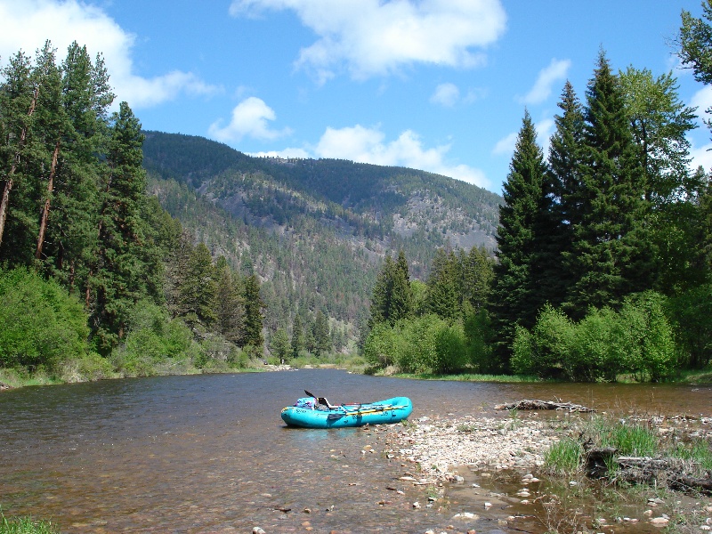 Matt Left His Fly Rod Here near Hamilton