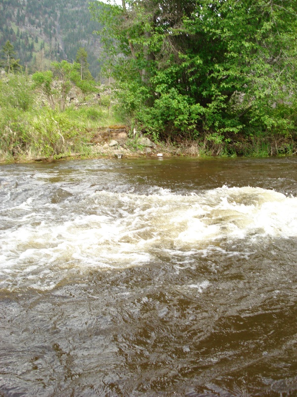 Bitteroot Campground near Florence