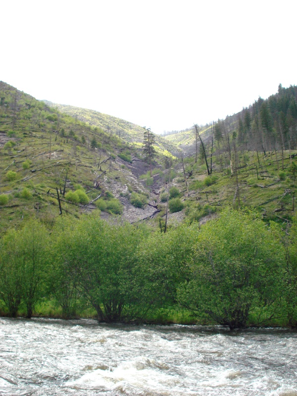 Corvallis fishing photo 3