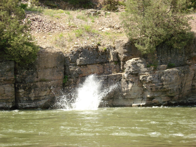 Grant Creek fishing photo 0